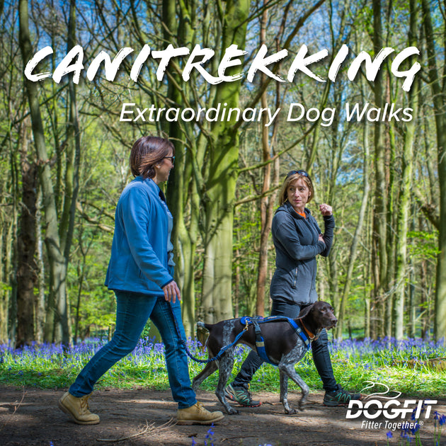 Hands Free Dog Walking Kit DogFit Canicross kit, advice and training