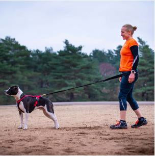 Full Range DogFit Canicross kit advice and training