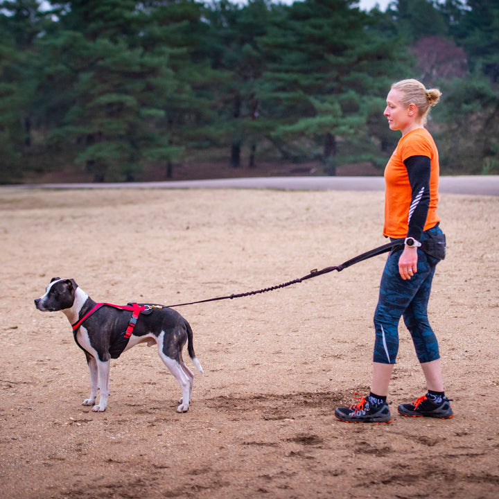 DogFit® Short Canicross Line 1.2m clip both ends