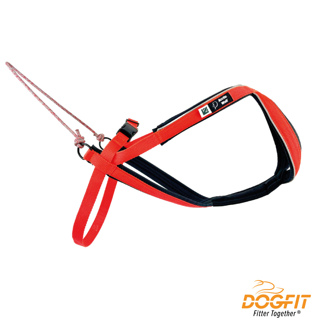 Multi-Sport harness by Arctic Wolf – DogFit - Canicross kit