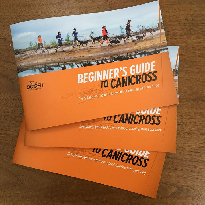 Starter Kit with Zero DC FASTER Harness