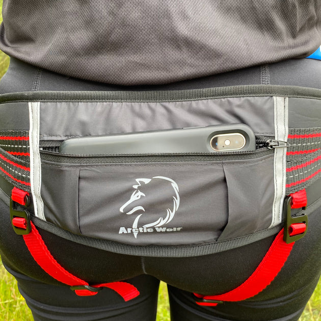 Reflective Pawprint Running Leggings with Pockets – DogFit - Canicross kit,  advice and training
