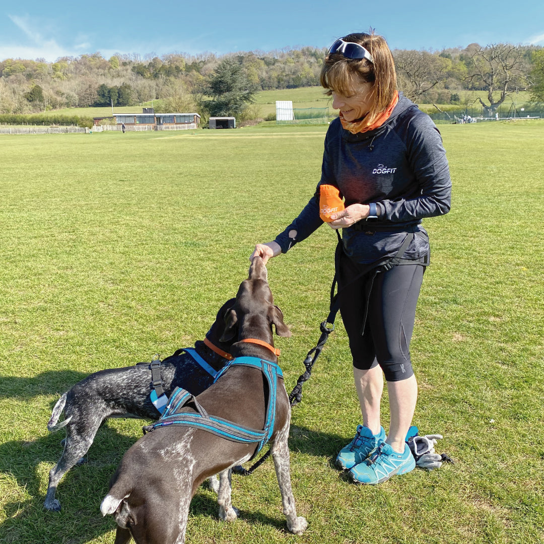 Treat Bag – DogFit Canicross kit, advice and training