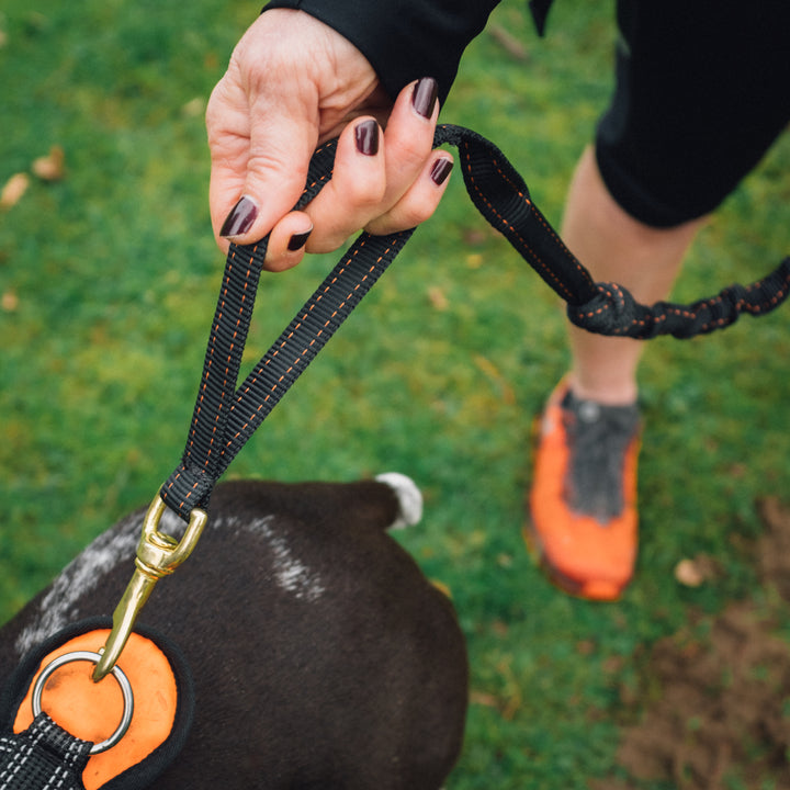 Light DogFit® Short Canicross Line 1.2m clip both ends