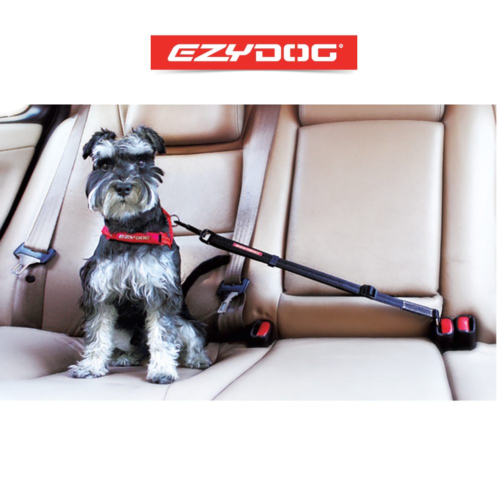 Easy dog car harness hotsell