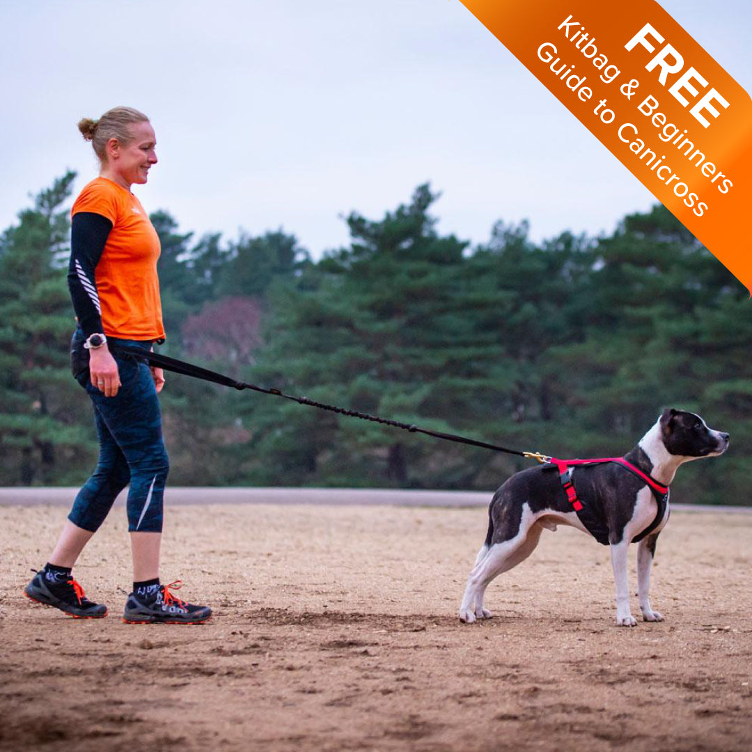 DogFit® Canicross Starter Kit – DogFit Canicross kit, advice and