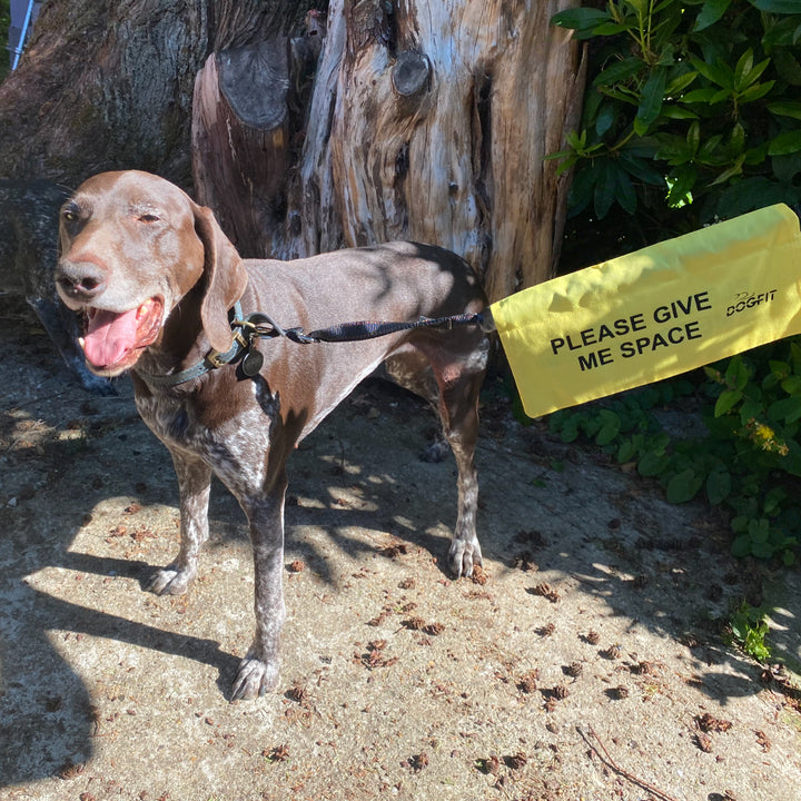 GIVE ME SPACE Lead Flag