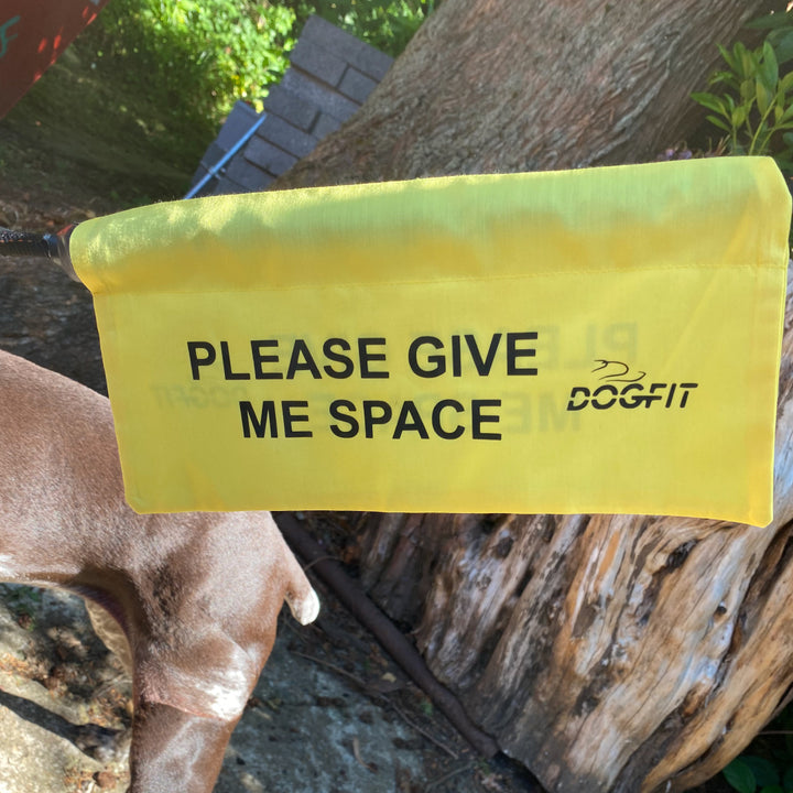 GIVE ME SPACE Lead Flag