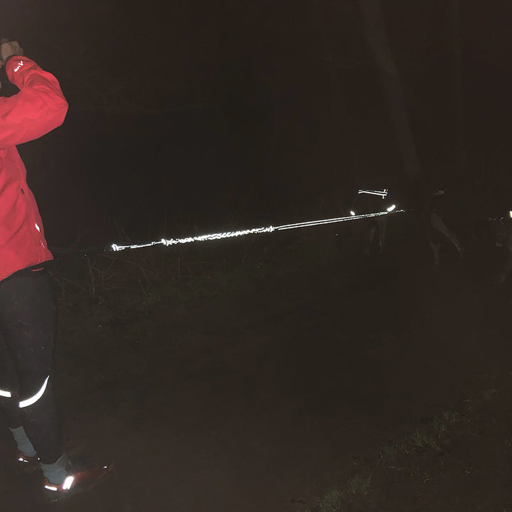 Reflective DogFit® Canicross  Lines