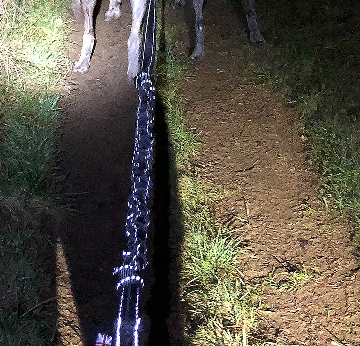 Reflective DogFit® Canicross  Lines