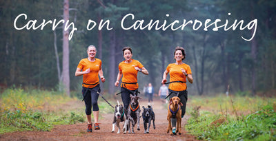 Canicross – How to run safely with your dog