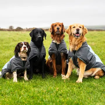 Henry Wag Waterproof Dog Coat