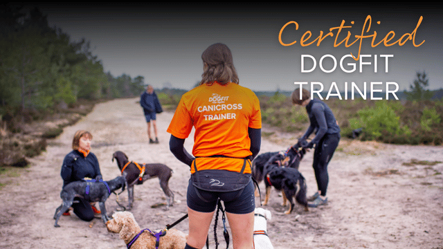 Certified DogFit Canicross Trainer