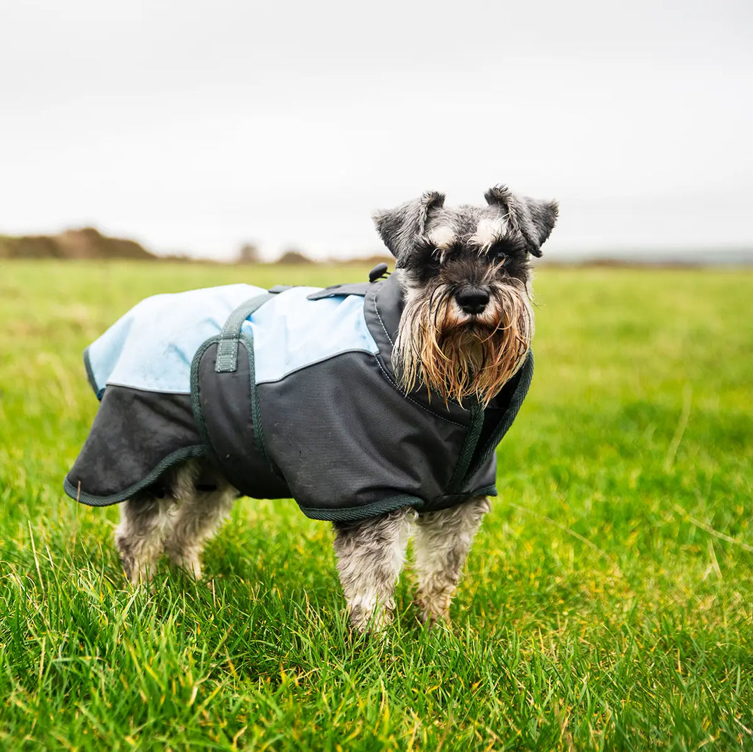 Henry Wag Waterproof Dog Coat