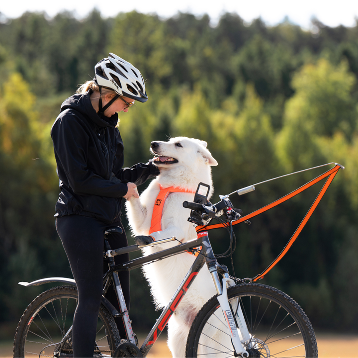 Bike Antenna - Non-Stop Dogwear