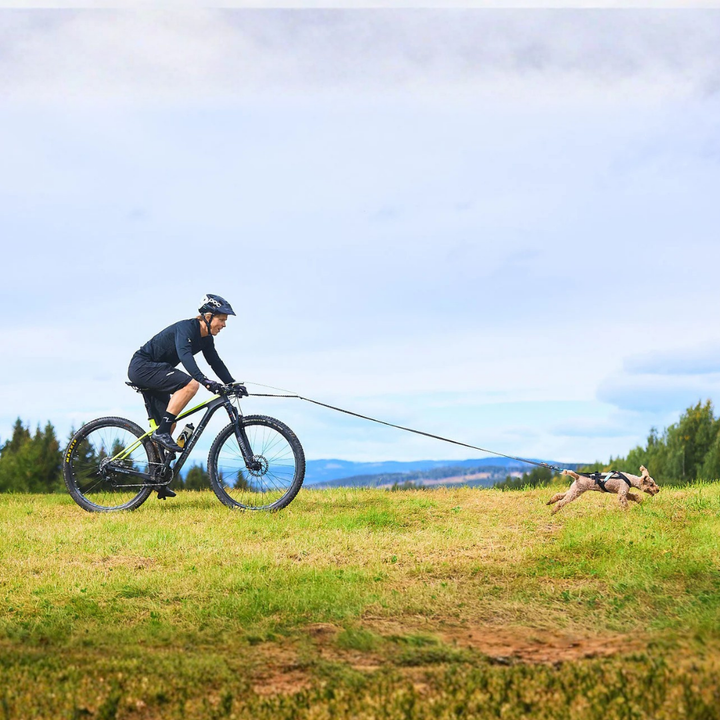 Non-stop 'Klick-Fix' Bike Attachment