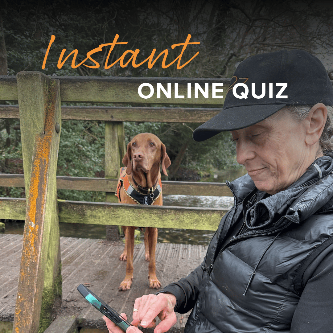 A woman in a black puffer jacket and cap looks down at a phone while standing on a wooden bridge, with a brown dog wearing a harness standing behind the railing. Large text overlays read 'Instant' in orange and 'ONLINE QUIZ' in white.