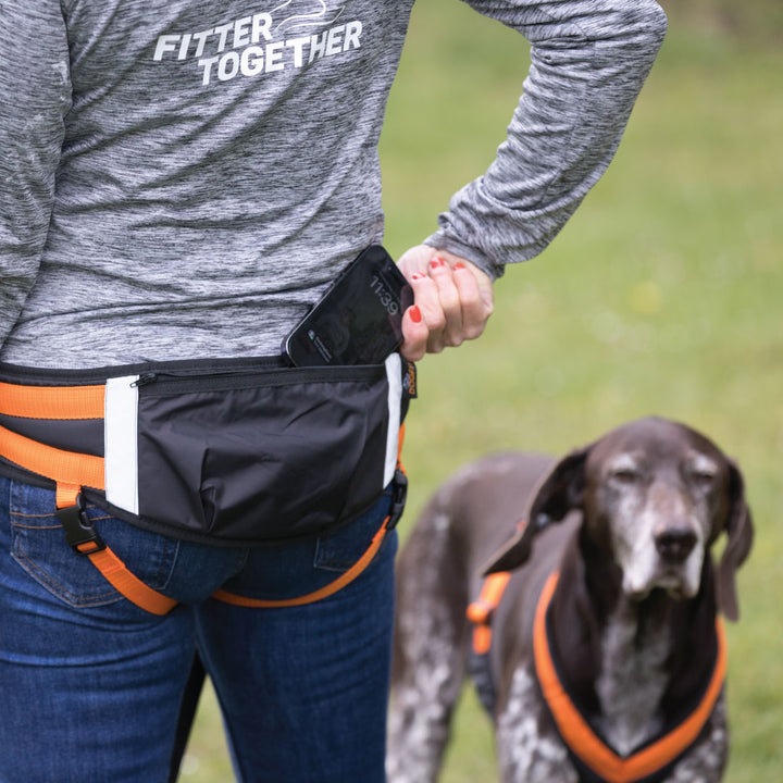 Trekking Belt -DogFit