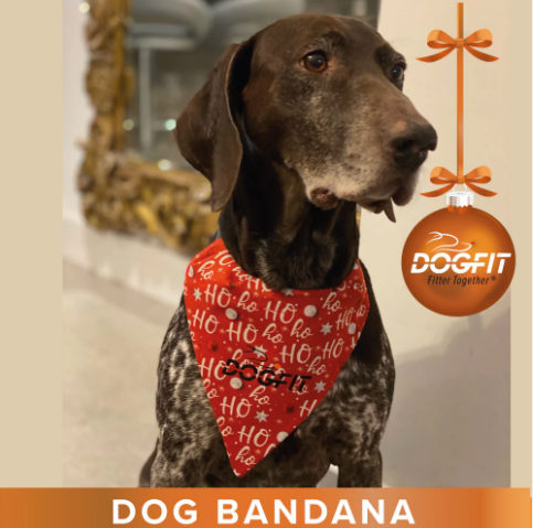 DogFit Bandanas