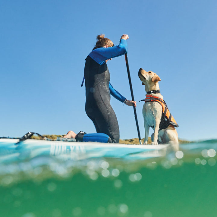 Dog Life Jacket