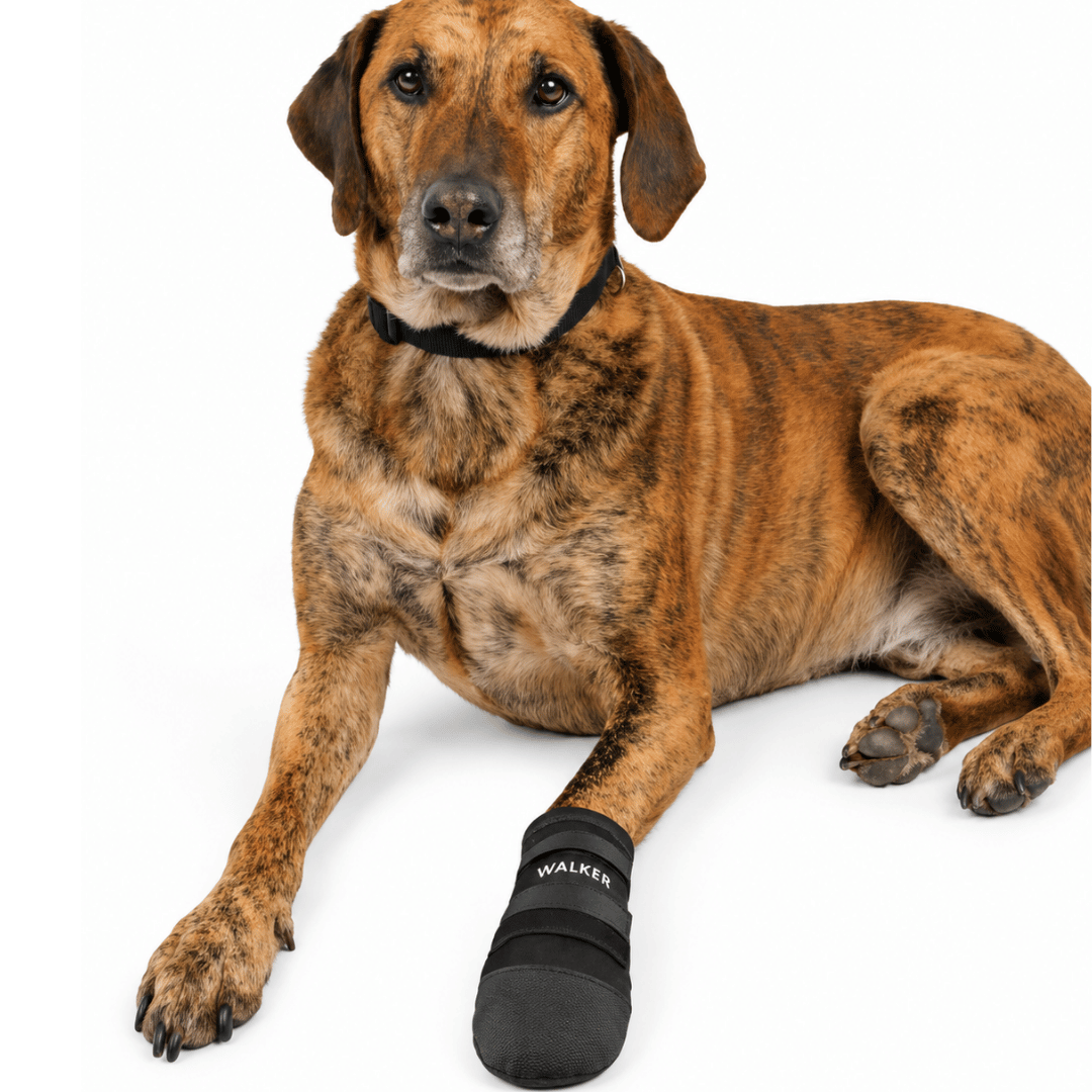 TRIXIE Walker Care Protective Dog Boots