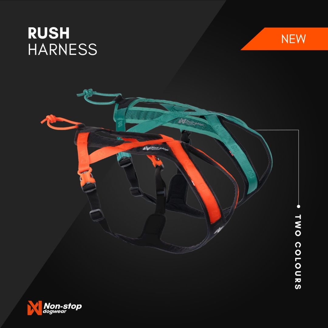 Rush Harness by Non-Stop