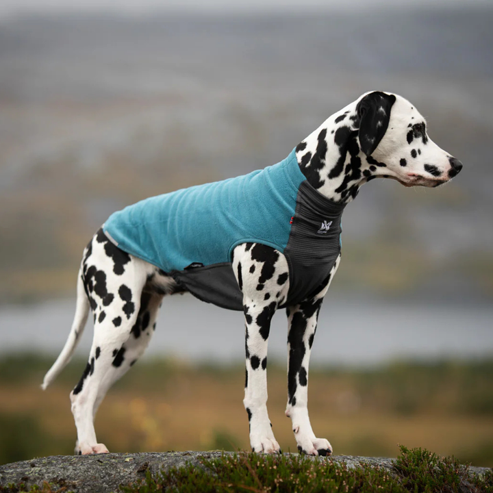 Trail Quest Fleece Pullover - Non-stop