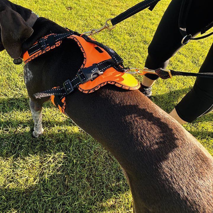 Easy Peasy Adjustable Dog Harness