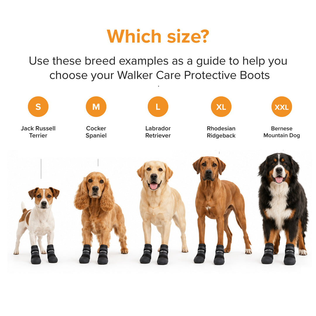 TRIXIE Walker Care Protective Dog Boots