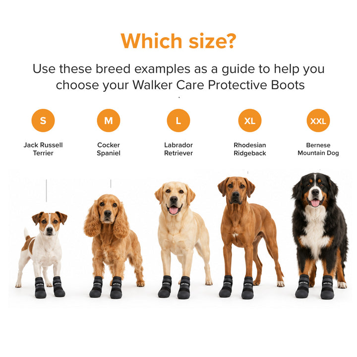TRIXIE Walker Care Protective Dog Boots