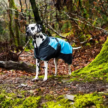 Henry Wag Waterproof Dog Coat