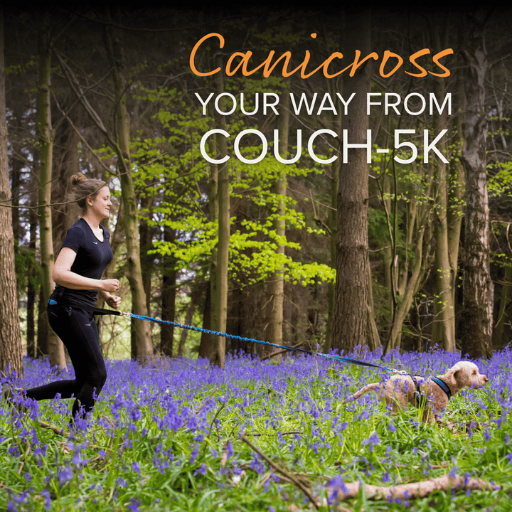Beginner Canicrosser with Couch - 5k (Online, self paced)