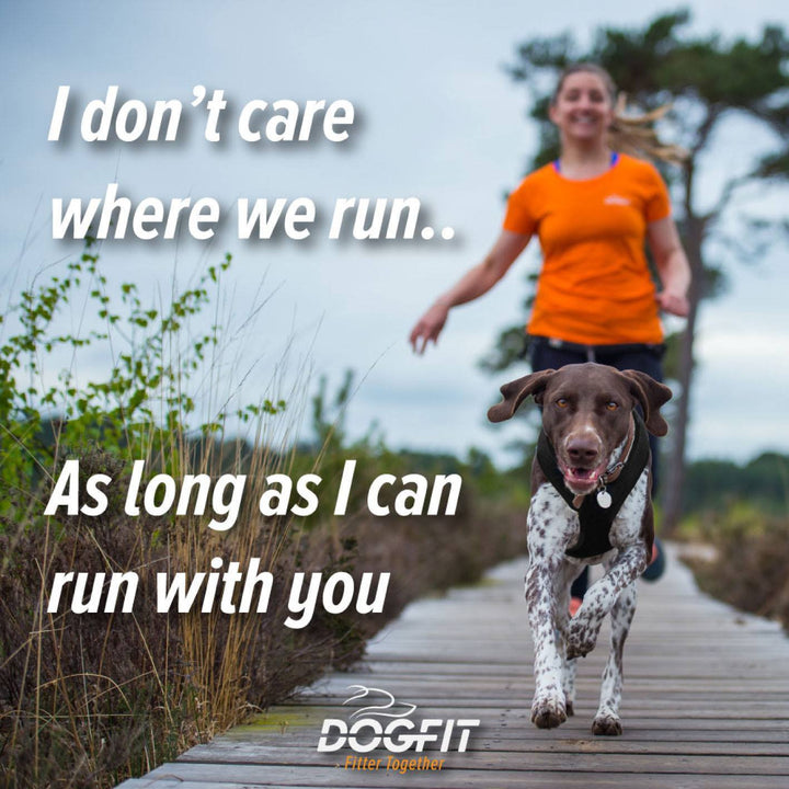 DogFit T Shirt
