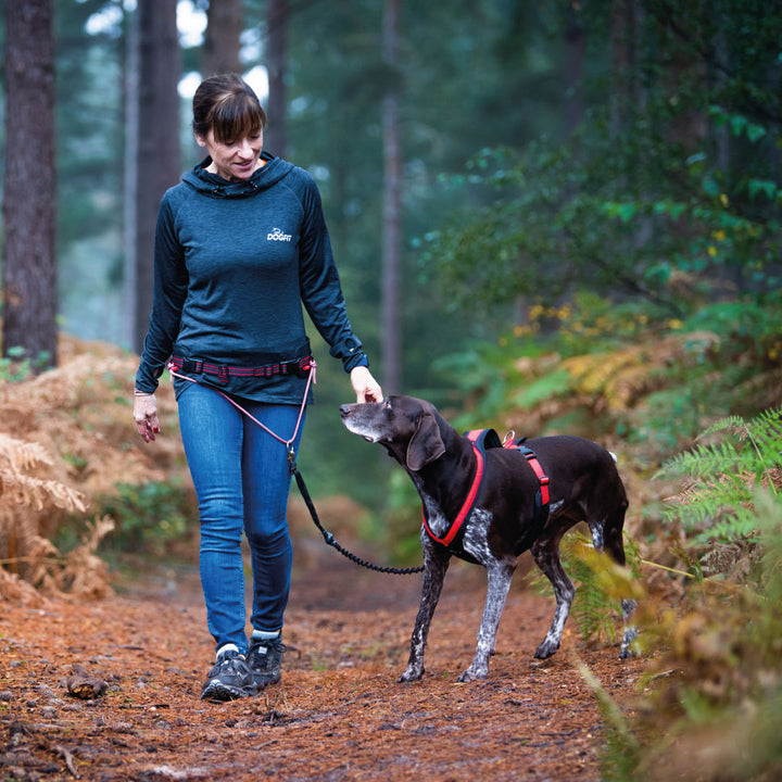 Canitrekking Kit with DogFit Harness