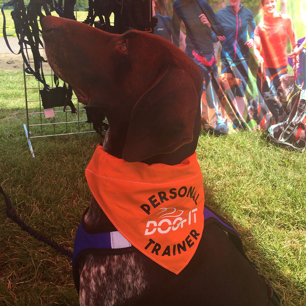 DogFit Bandanas