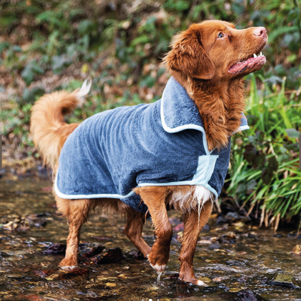 Drying coat shop