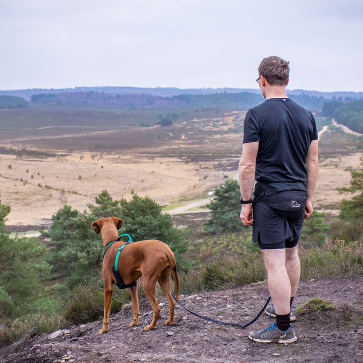 DogFit® Canicross Belt