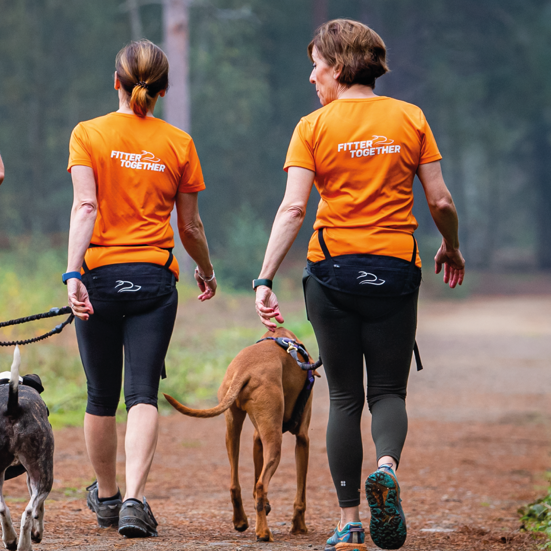 DogFit Canicross Belt