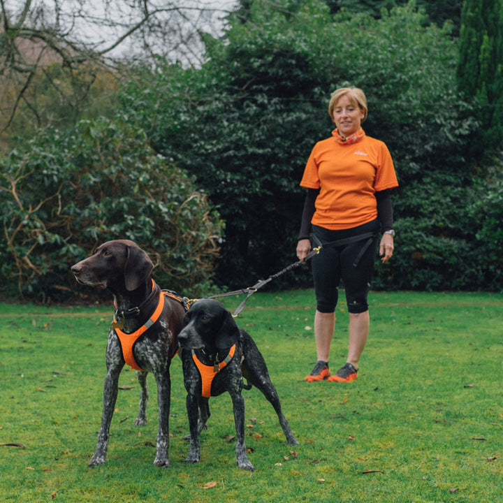 Canicross Splitter for two dogs