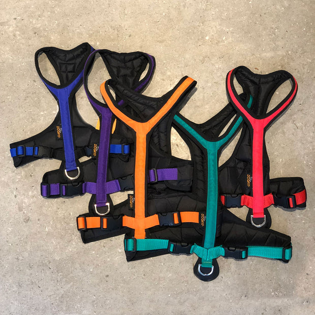 Canitrekking Kit with DogFit Harness
