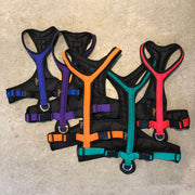 Canicross dog harness range of colours