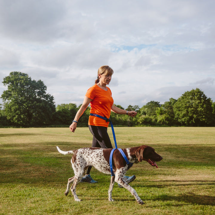 Ezydog Hands Free Walking Belt