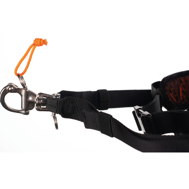 Quick release discount dog leash