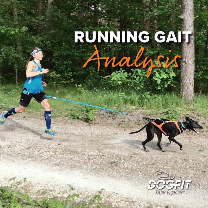 Running Gait Analysis