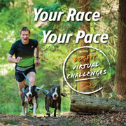 DogFit Virtual Challenges