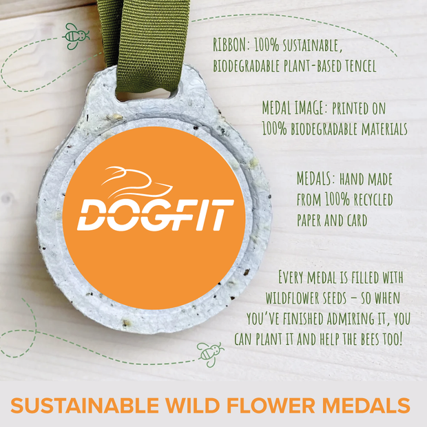 DogFit Virtual Challenges